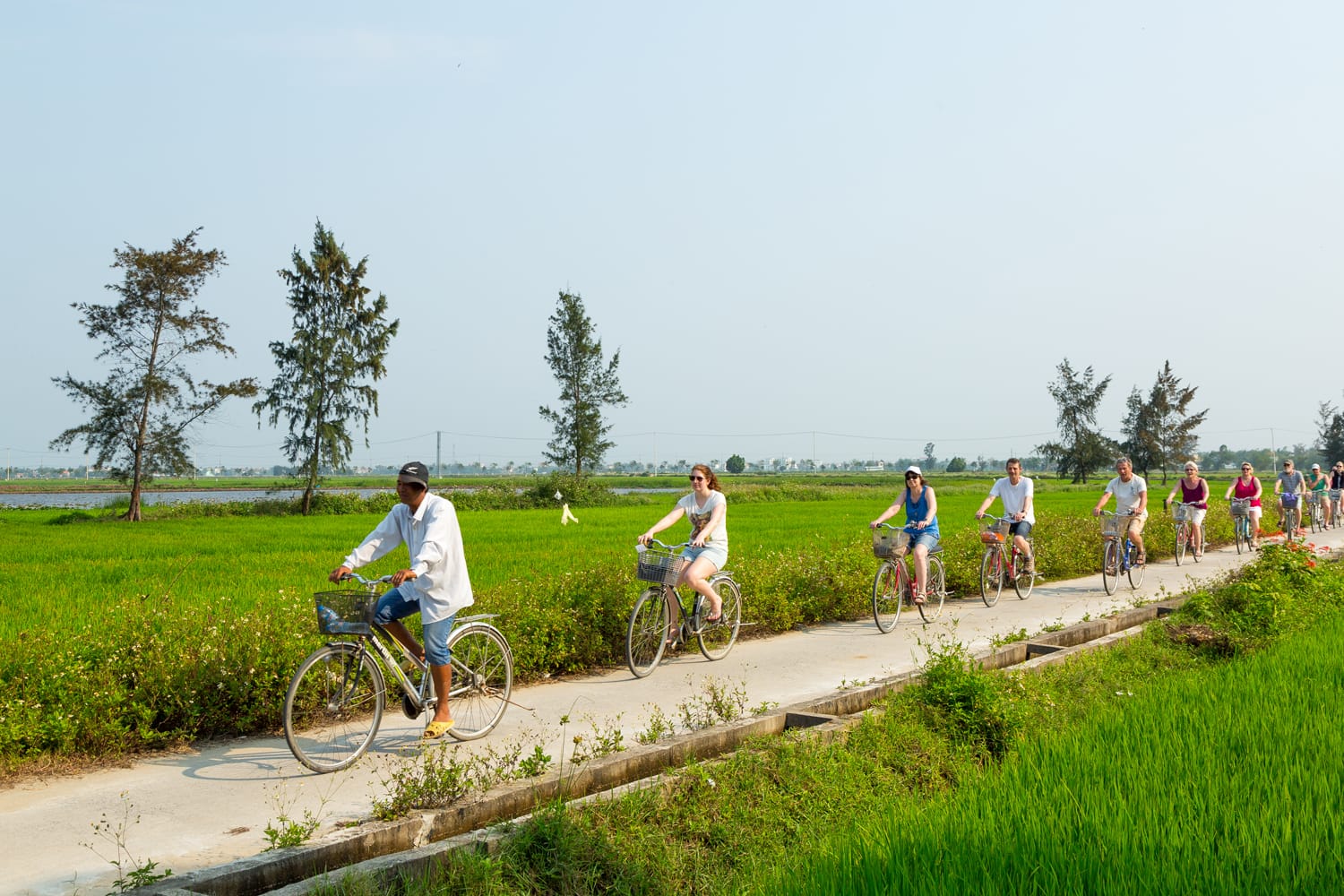 Tourists ride bicycles through rice paddies behind their guide in Hoi An, Vietnan