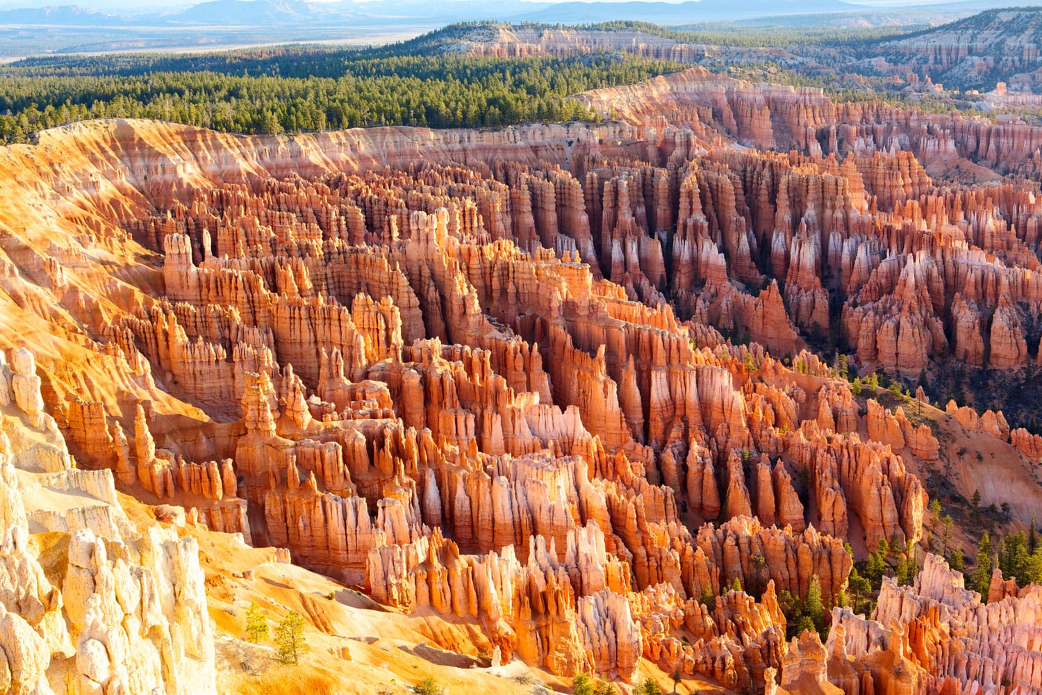 Amphitheater from Inspiration Point at sunrise, Bryce Canyon National Park, Utah, USA