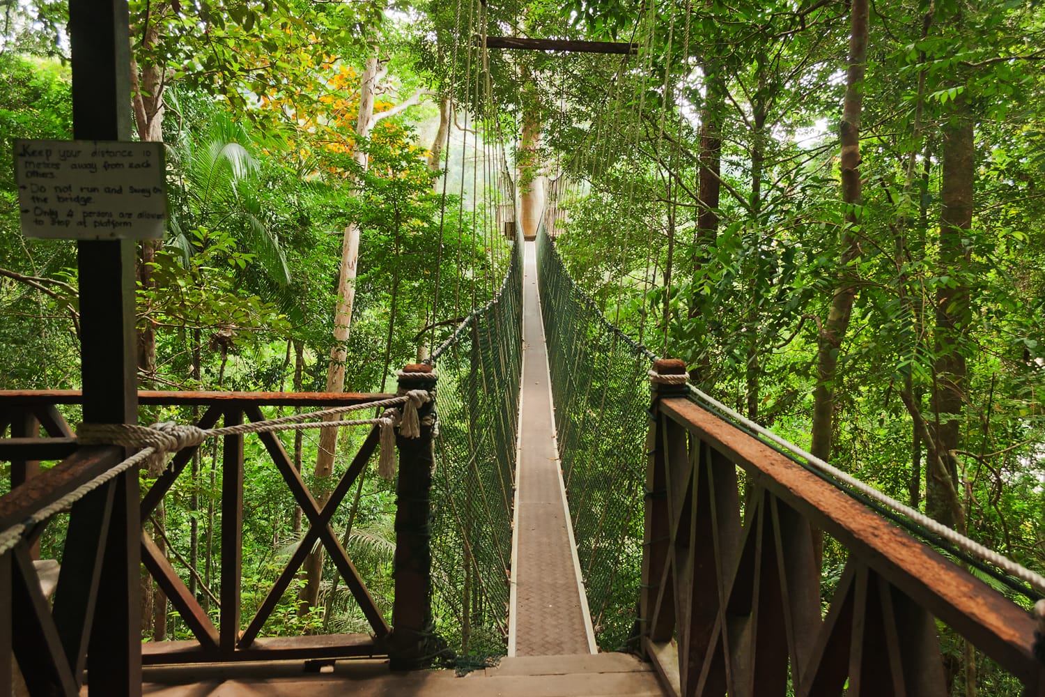 Canopy walkway at Taman Negara National Park in Penang, Malaysia