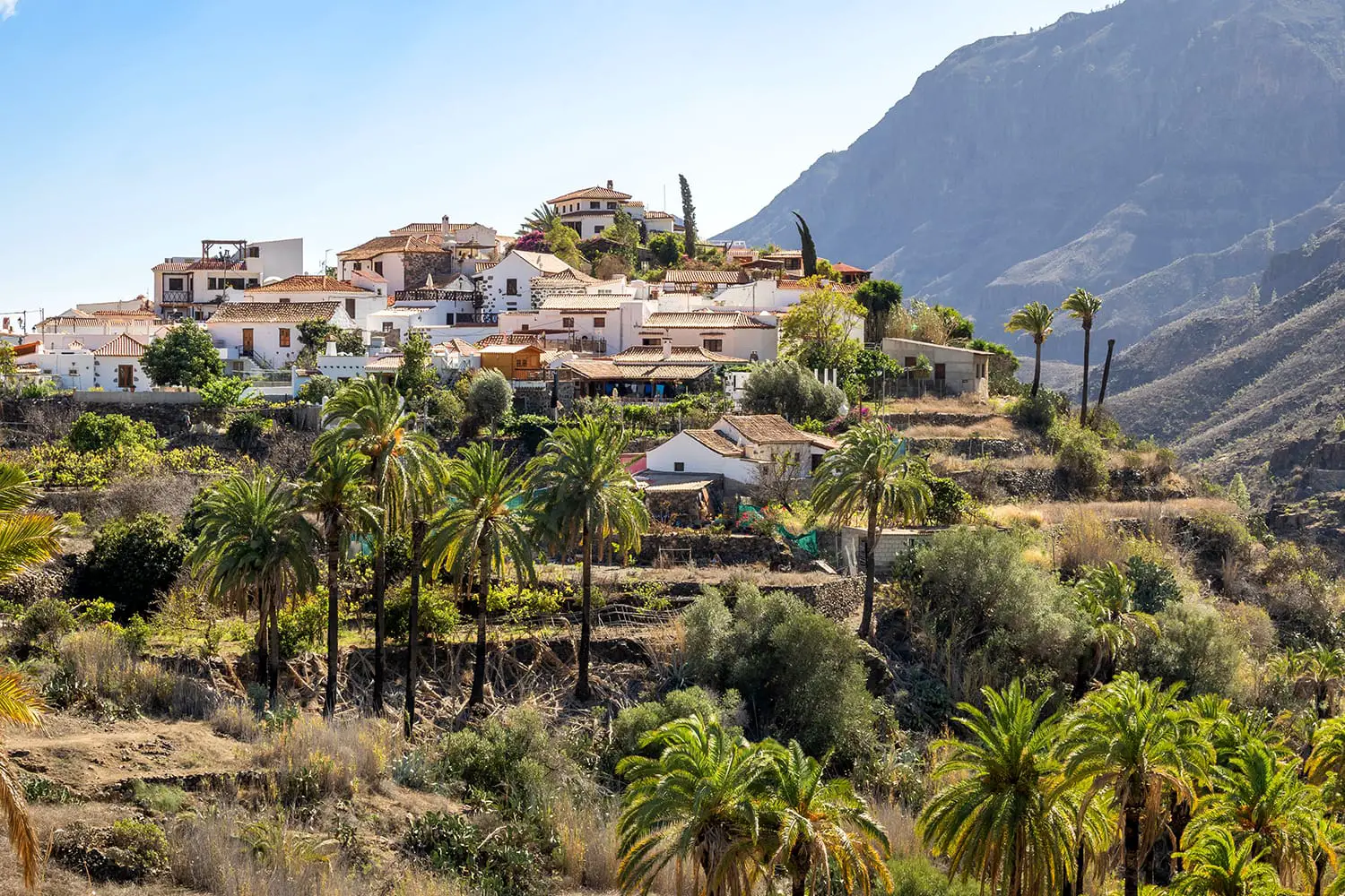 View on Fataga village located in the Barranco de Fataga Valley, impressive mountain landscape, Canary Islands, Spain
