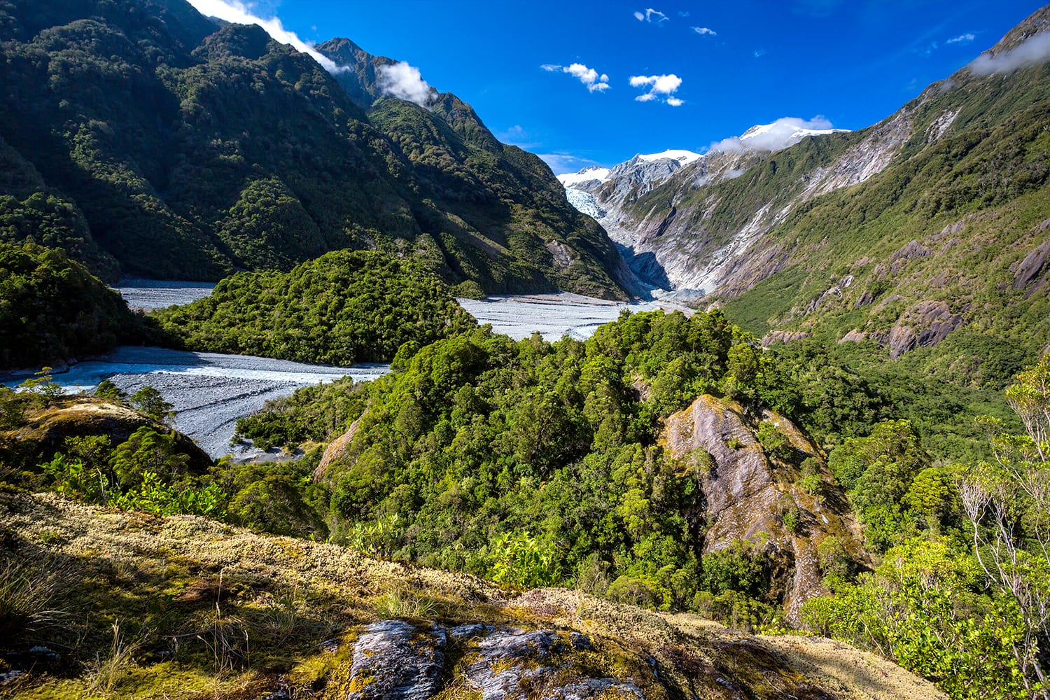 Franz Josef Glacier and valley floor, Westland, South Island, New Zealand