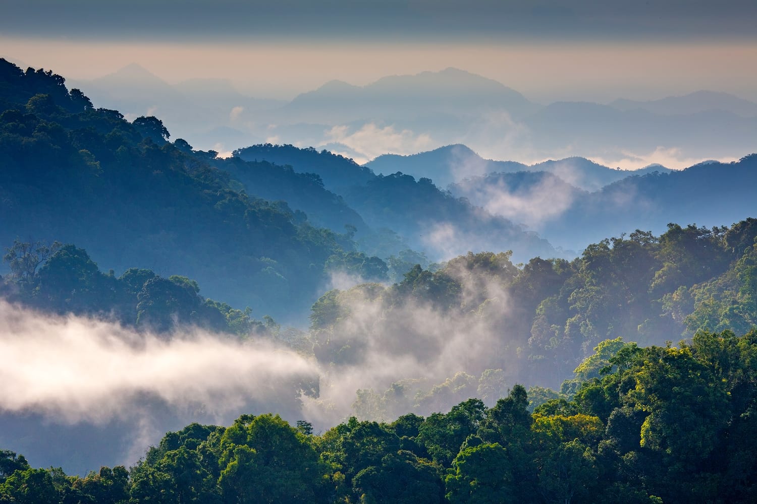 Morning Mist at Tropical Mountain Range,This place is in the Kaeng Krachan national park,Thailand