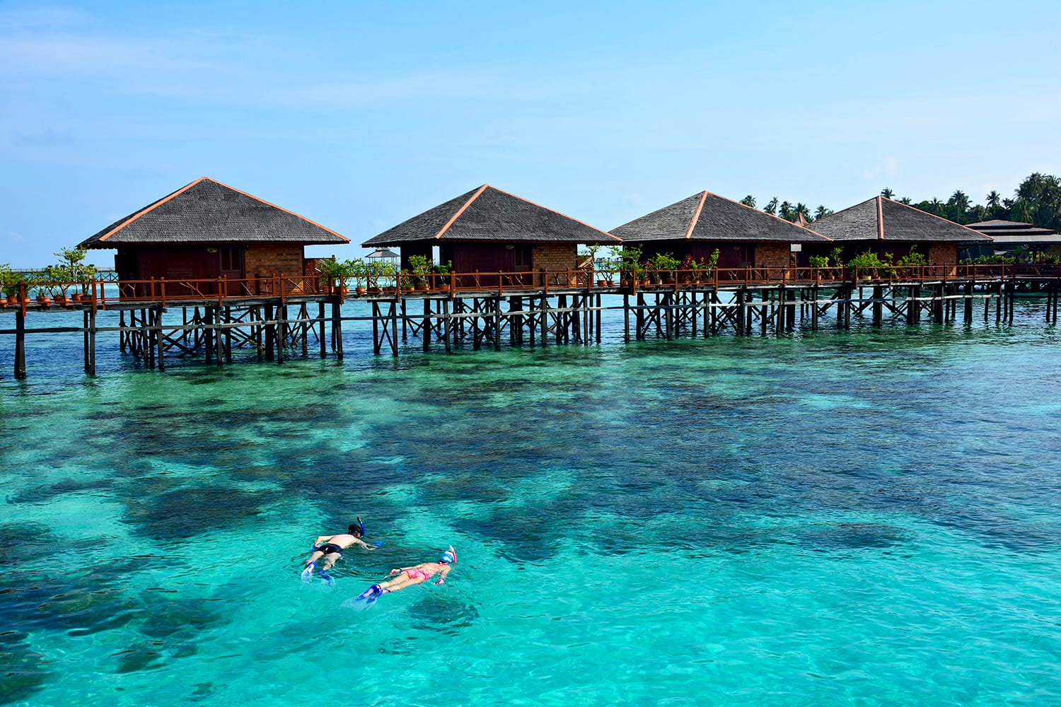Snorkeling tourists in the ocean at Mabul island, Malaysia - Image