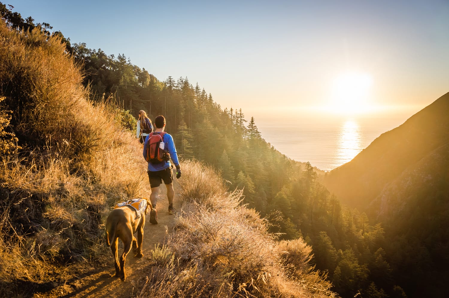 Άνδρας, γυναίκα και σκύλος κάνουν πεζοπορία στο Big Sur, CA καθώς ο ήλιος δύει πάνω από τον ωκεανό.