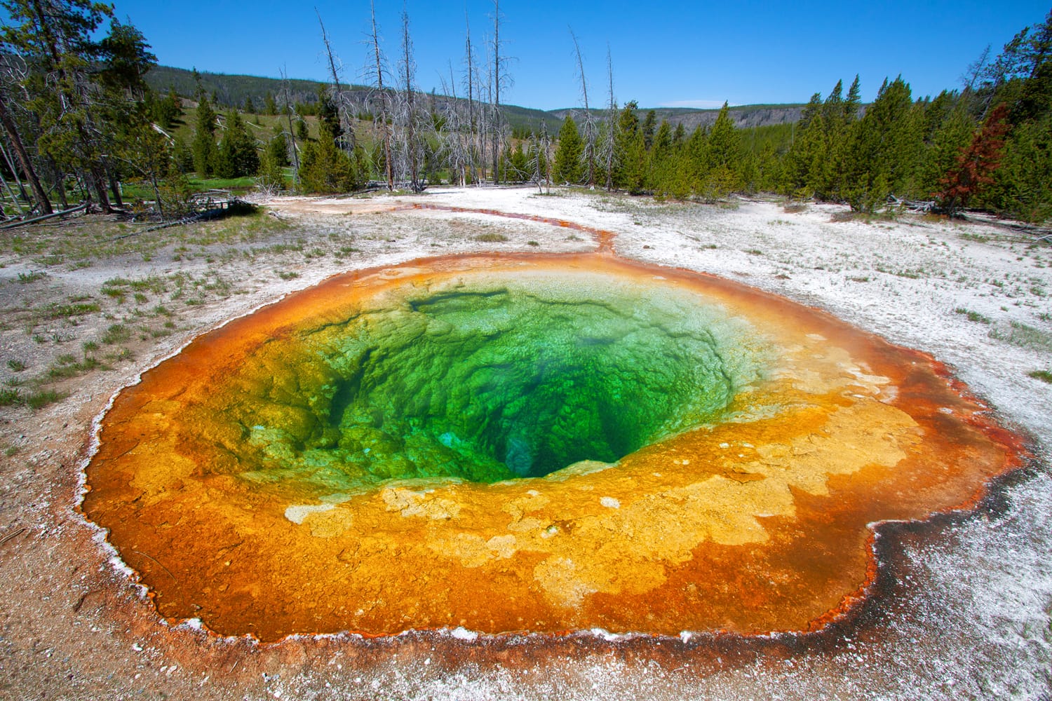 Morning Glory Thermal Pool in Yellowstone National Park, Wyoming