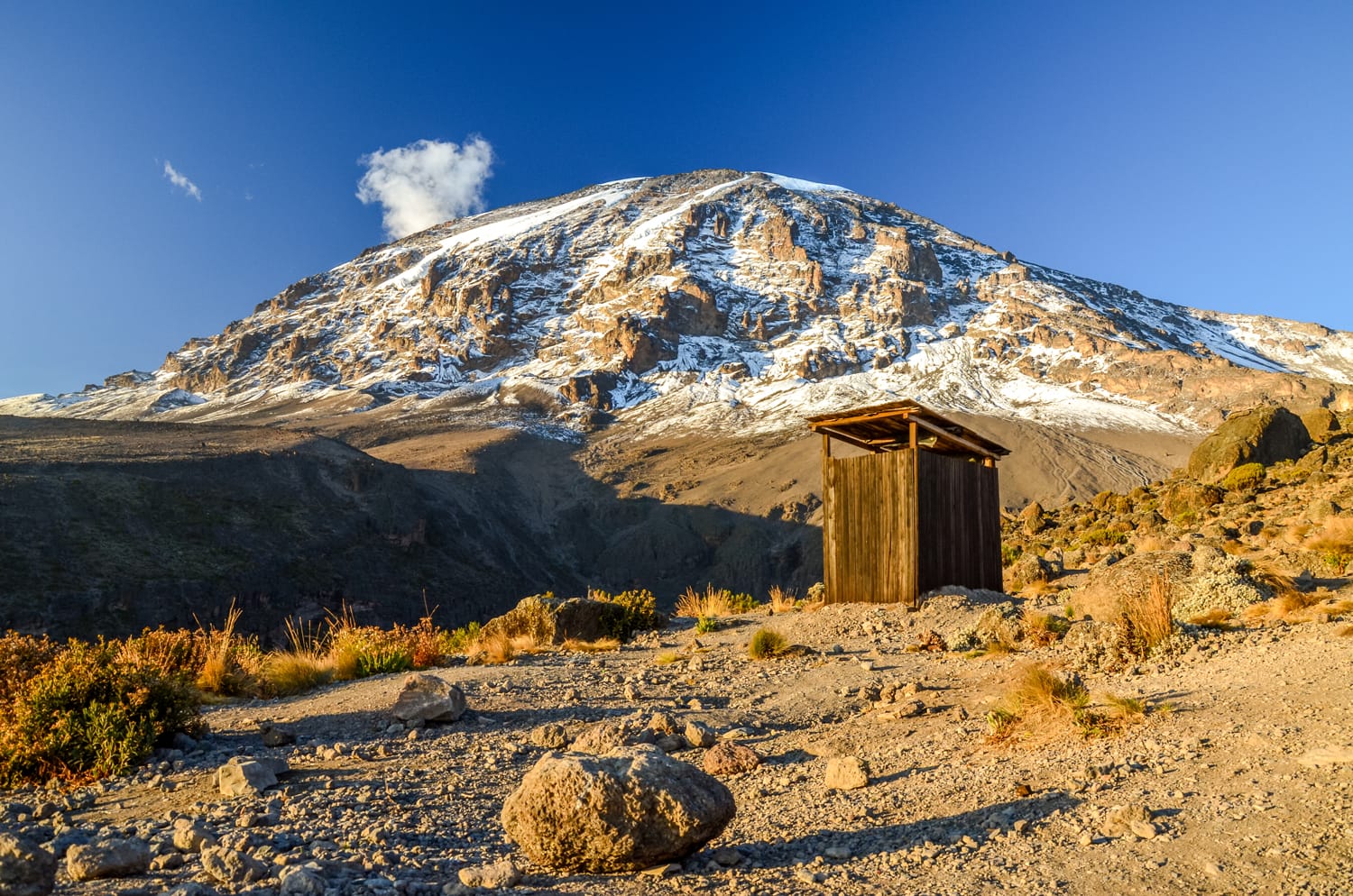 Evening view of Kibo with Uhuru Peak (5895m amsl, highest mountain in Africa) at Mount Kilimanjaro,Kilimanjaro National Park,seen from Karanga Camp at 3995m amsl. Toilet outhouse in foreground.