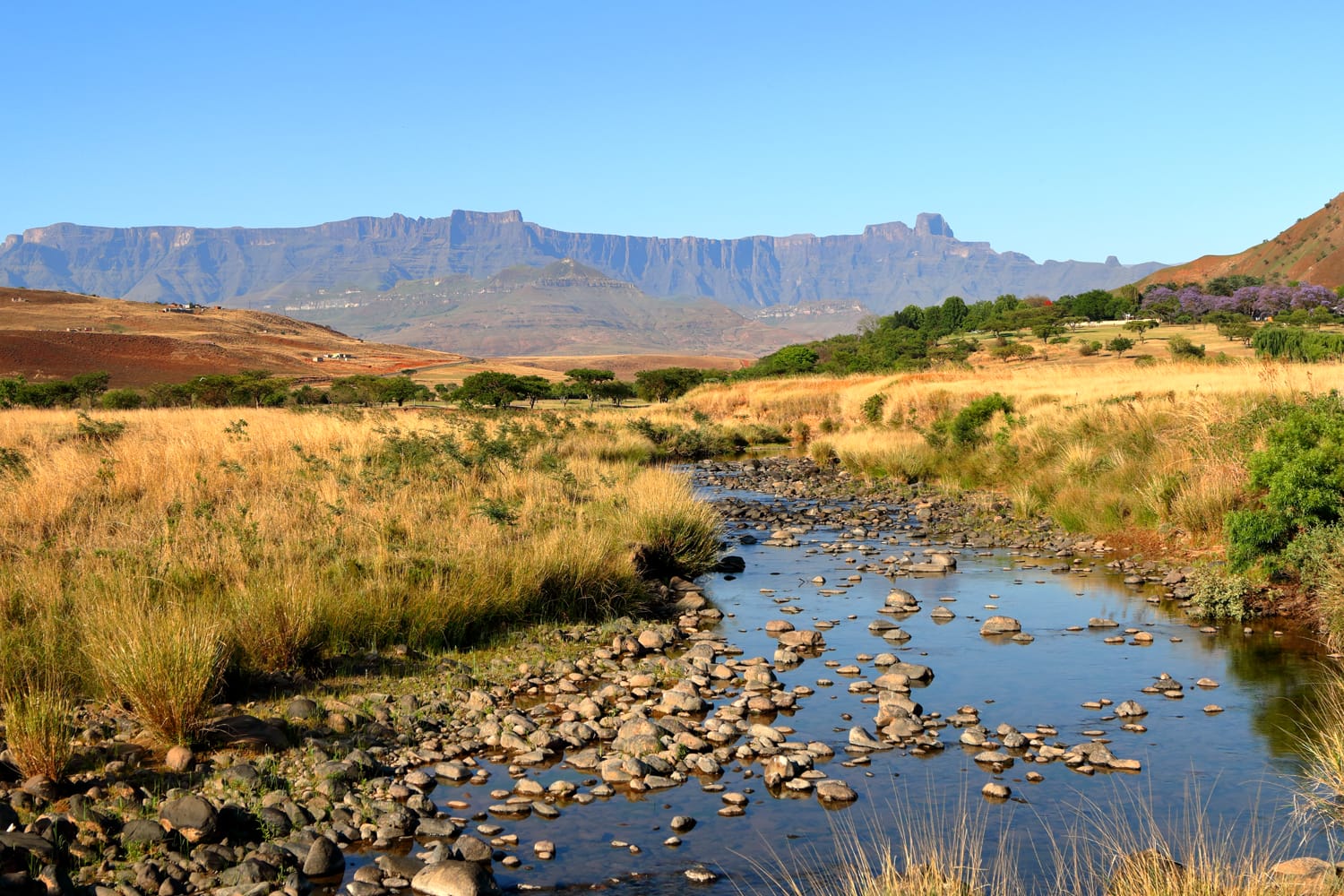Drakensberg Amphitheatre mountain range in KwaZulu Natal, South Africa