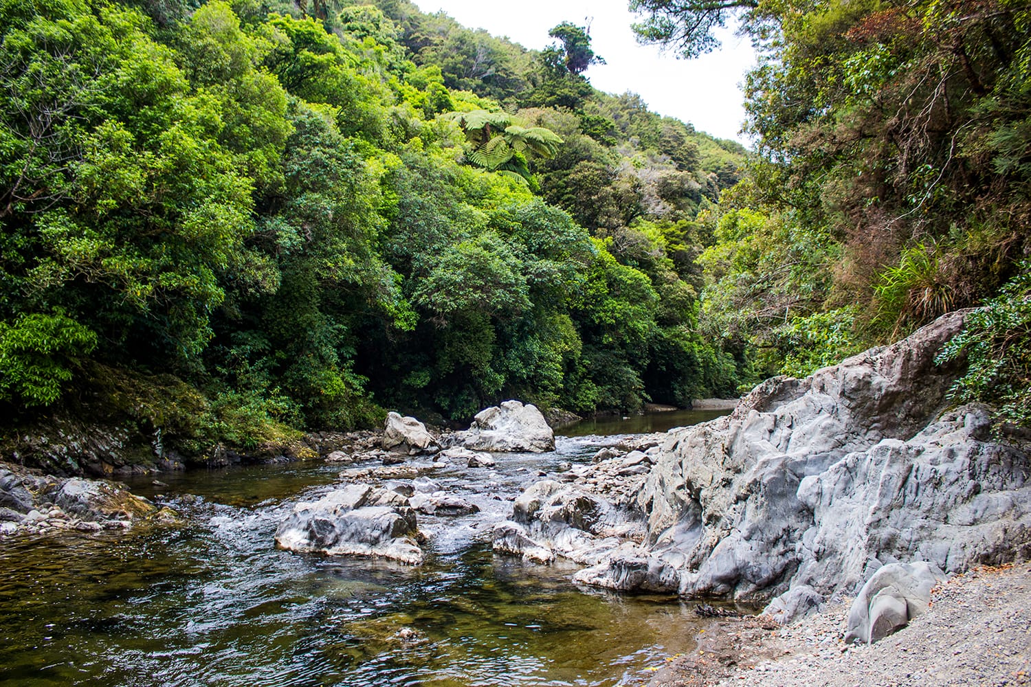 River in Rivendell in Kaitoke Regional Park, New Zealand