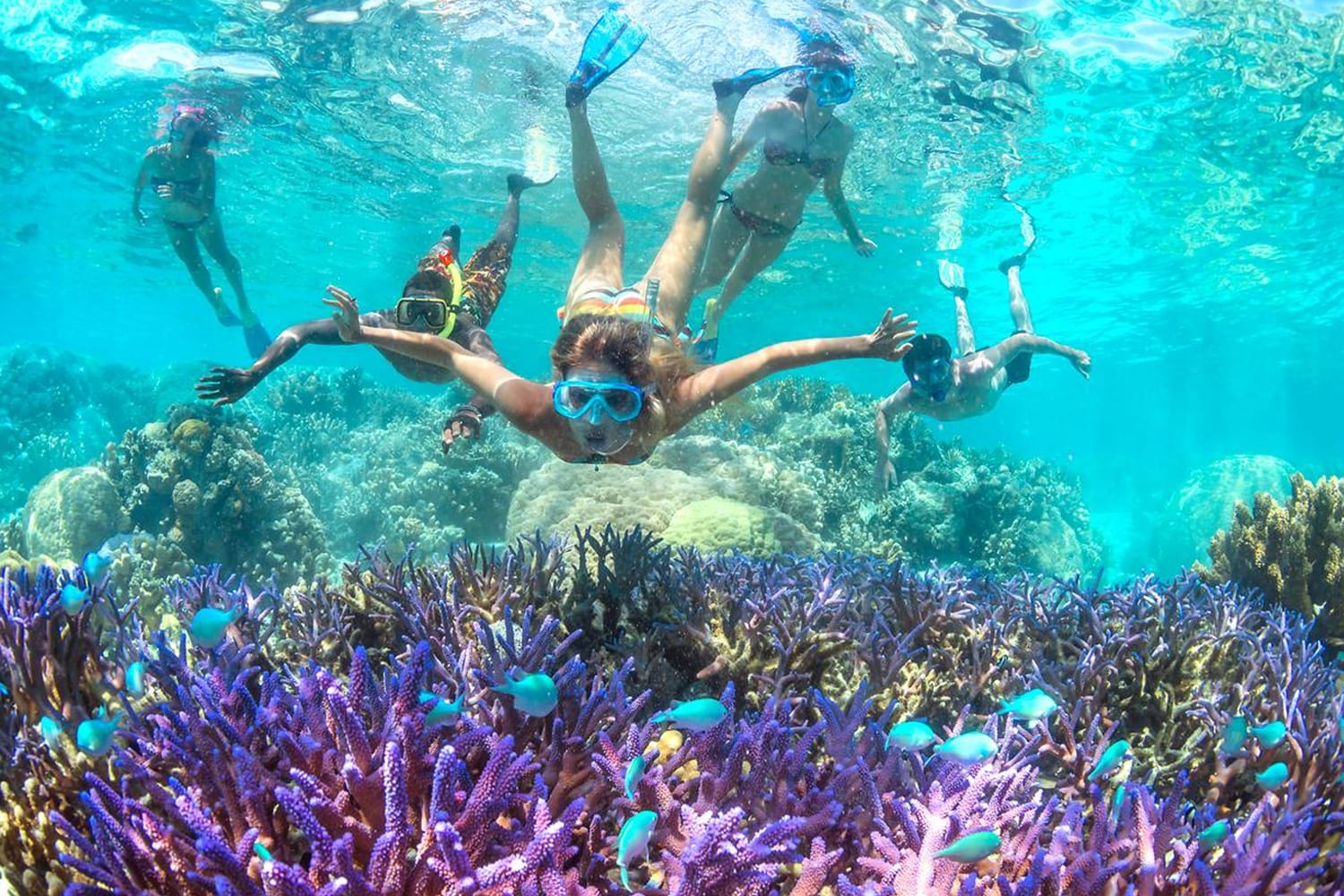 Κολύμβηση με αναπνευστήρα στη Νέα Καληδονία