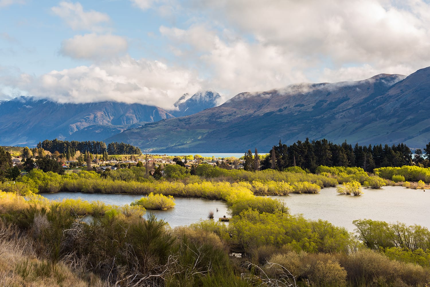 Wetland swamp in glacial Rees Dart river valley in Glenorchy, New Zealand