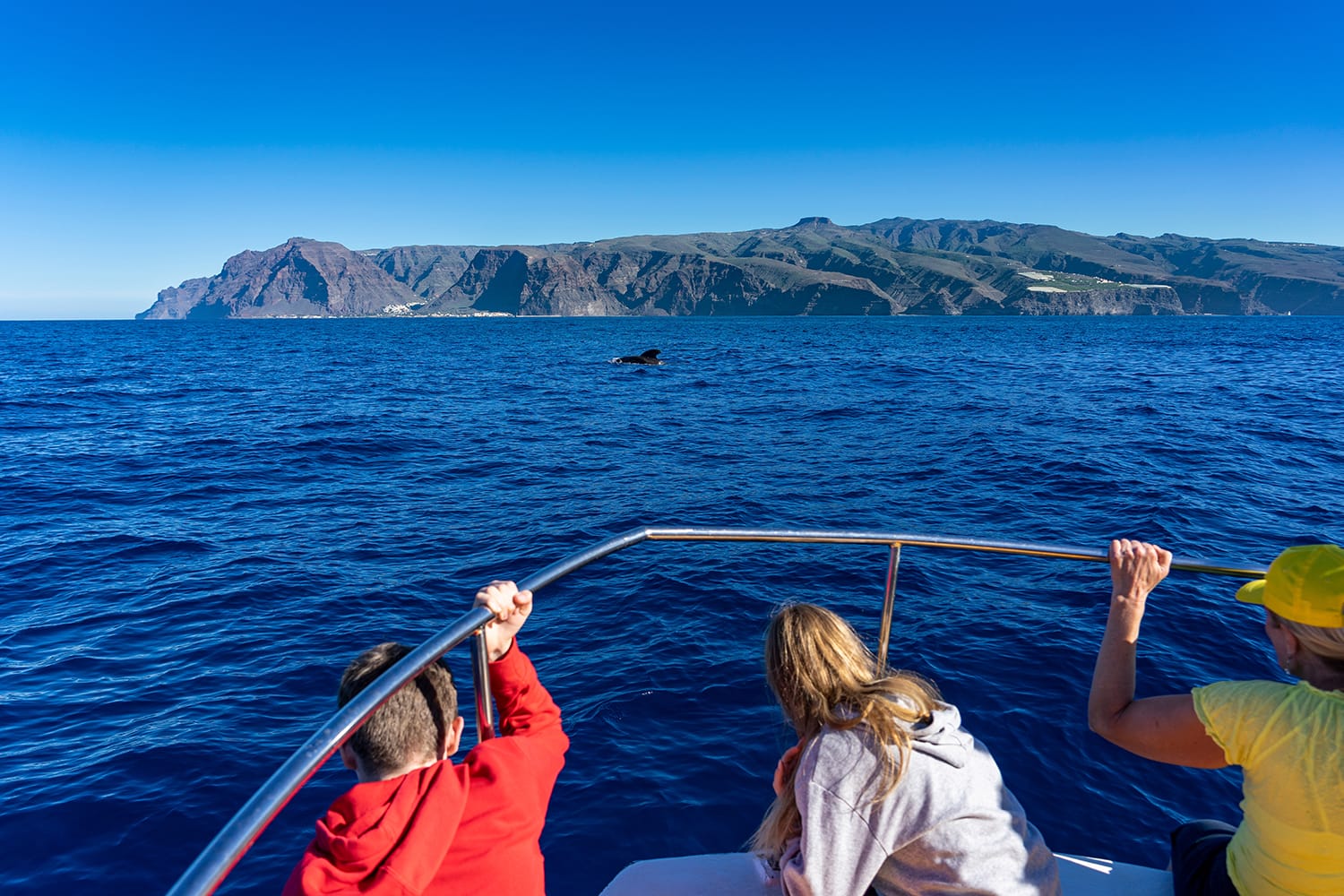 Whale watching in La Gomera, Canary Islands