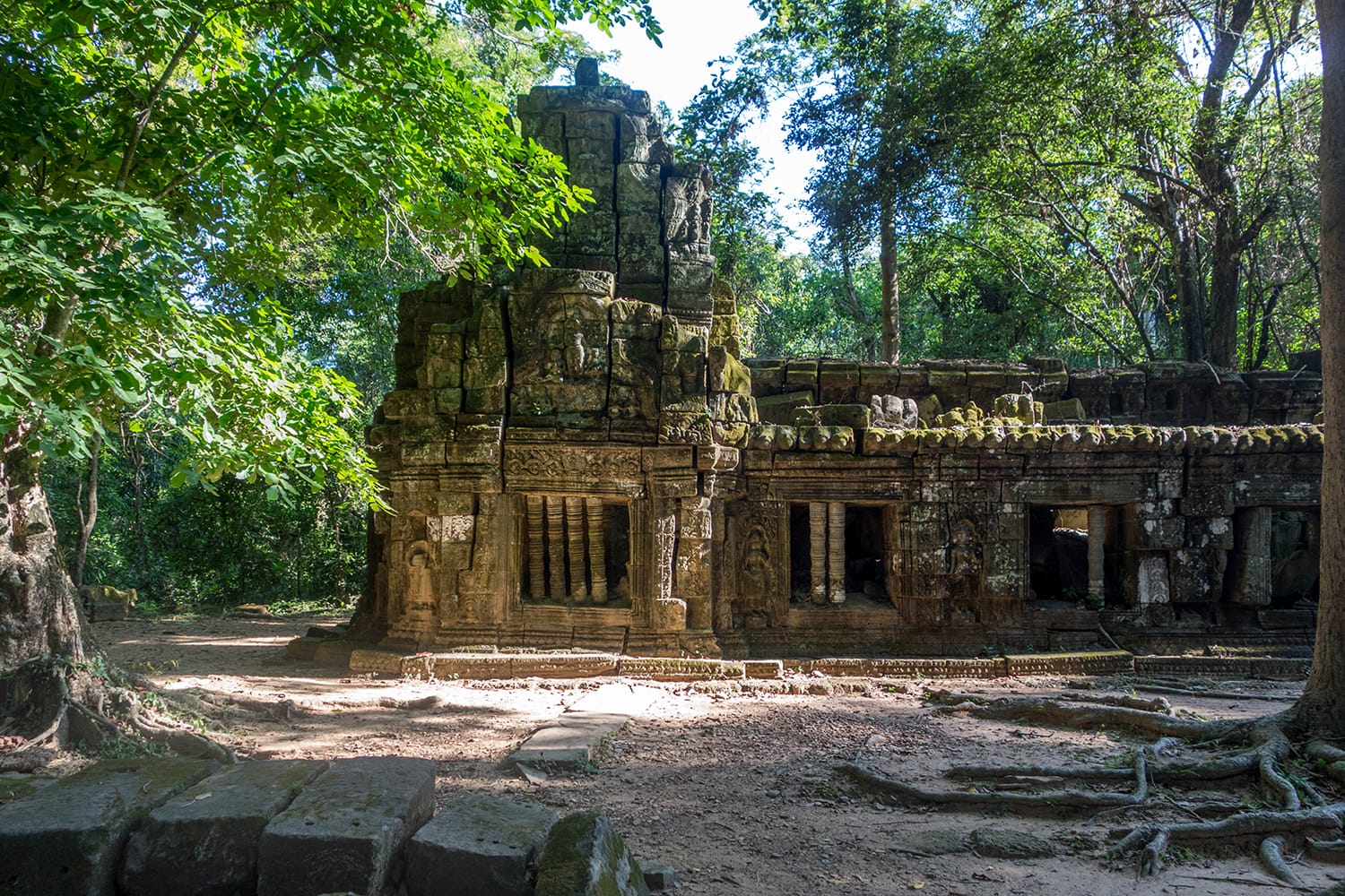 Temple at Angkor Wat hidden in the jungle. Cambodia