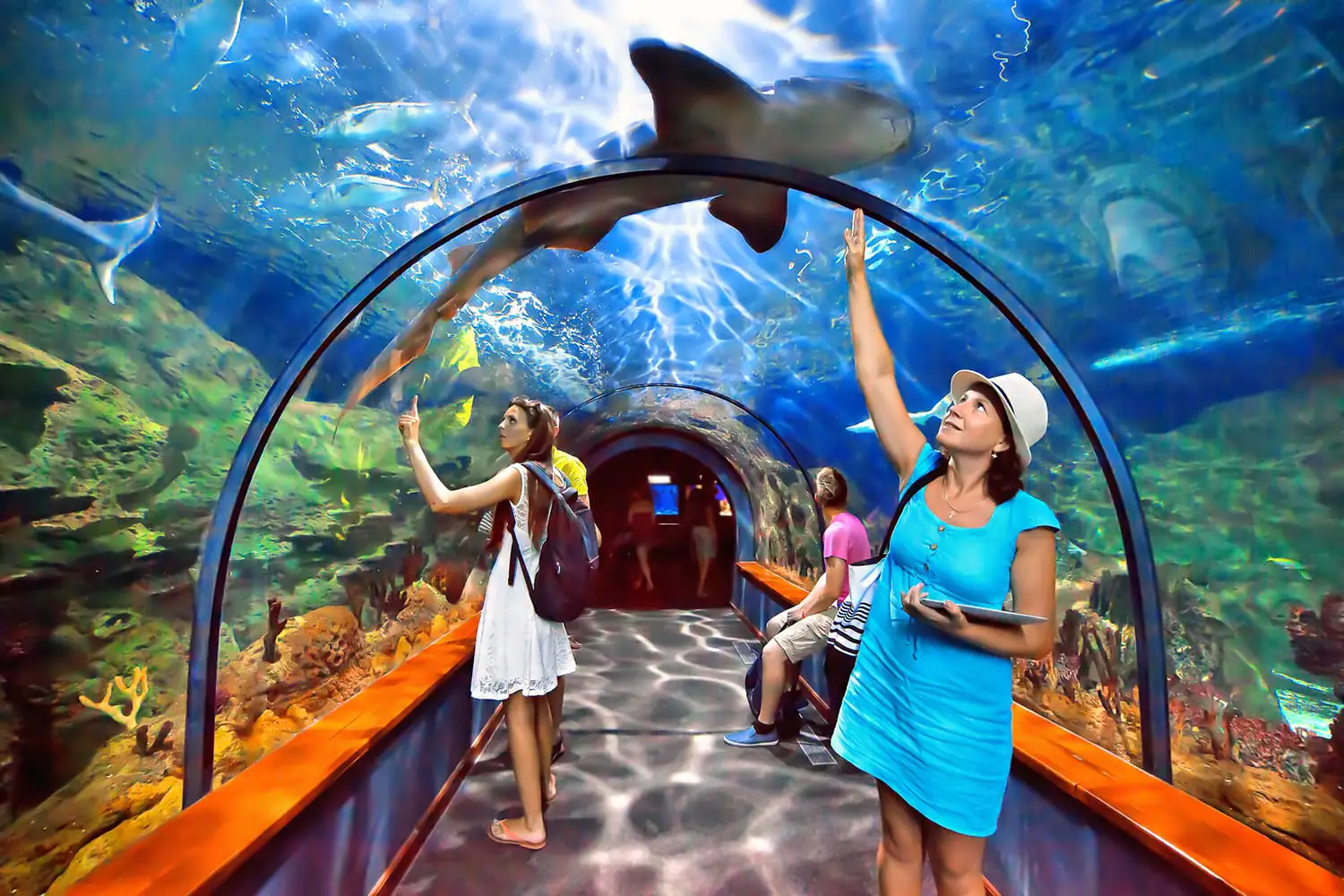 Aquatic tunnel in the Loro parque aquarium in Tenerife, Canary Islands