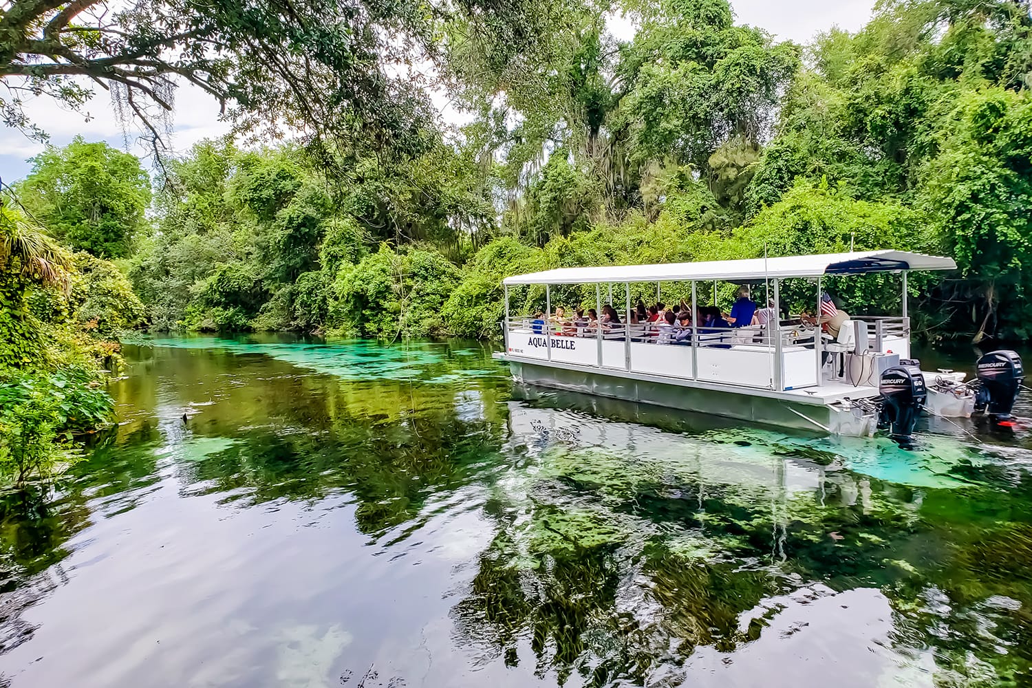 Aqua Belle boat ride down the Weeki Wachee Springs River in Florida