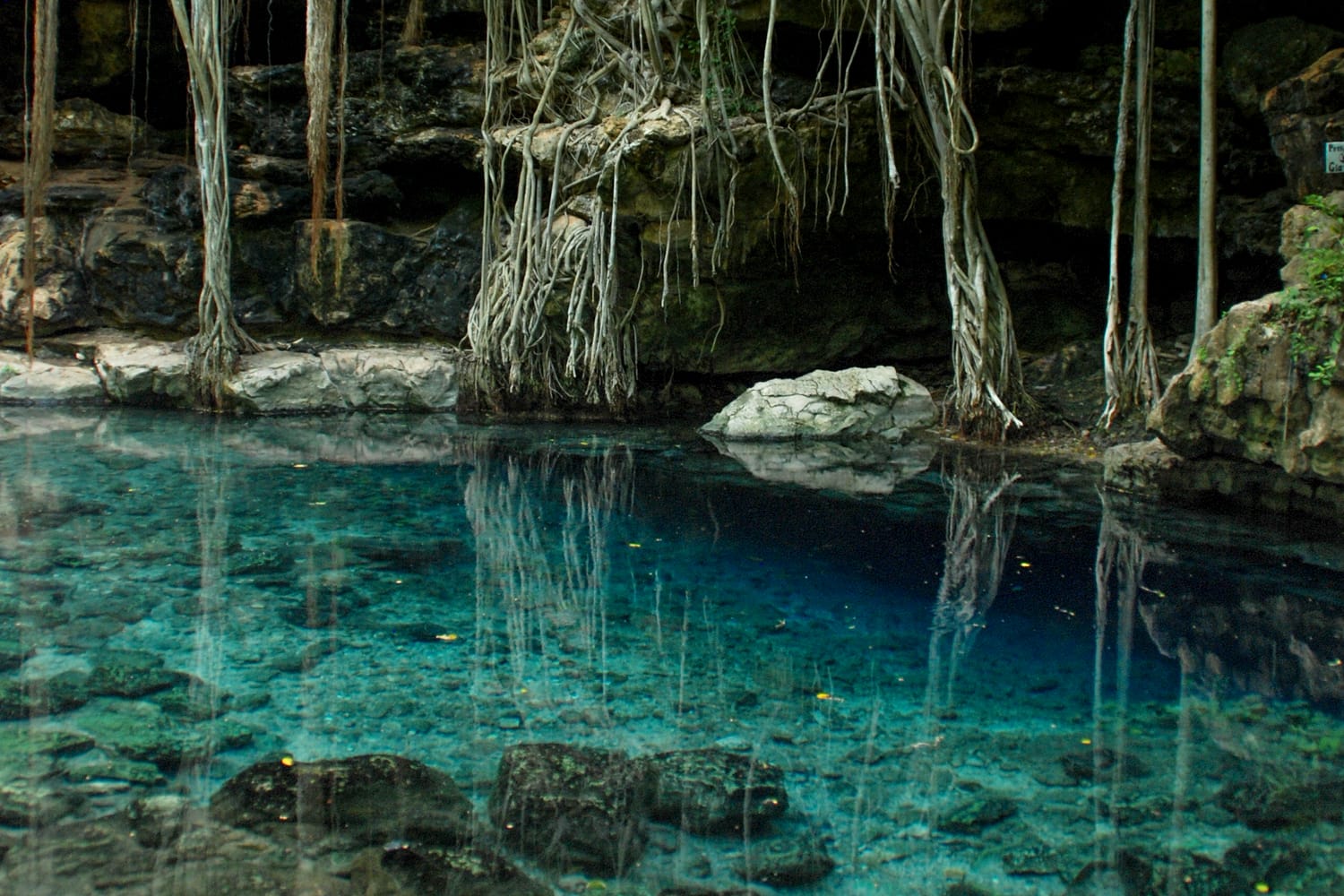 Cenote X'batun in Mexico