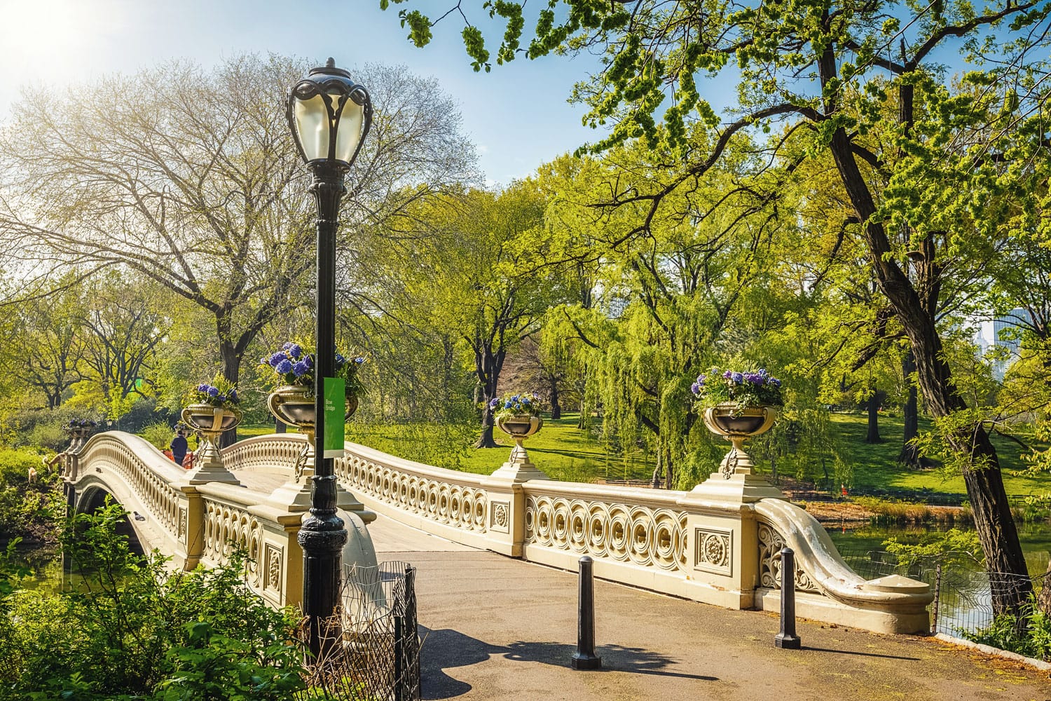 Πλώρη γέφυρα στο Central Park, πόλη της Νέας Υόρκης