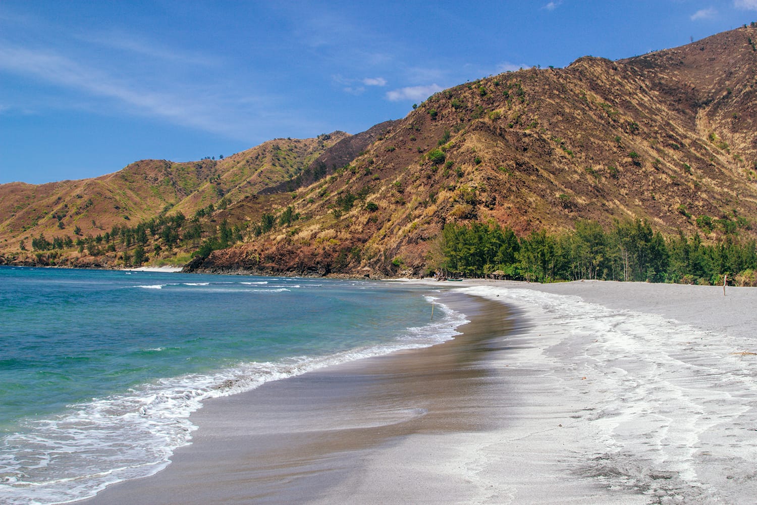 Nagsasa Cove, μια παραλία γεμάτη με ηφαιστειακή τέφρα από το όρος Pinatubo και καλυμμένη από θαλάσσια πεύκα στο San Antonio, Zambales, Φιλιππίνες