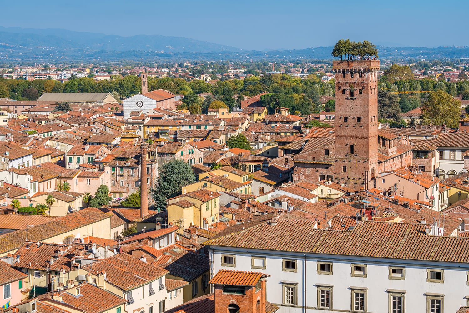 Panoramic view in Lucca, with the famous Guinigi Tower. Tuscany, Italy.