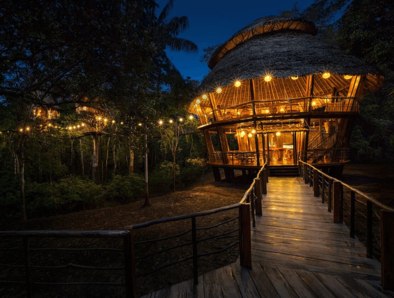 Treehouse Lodge, Amazon Rainforest, Peru