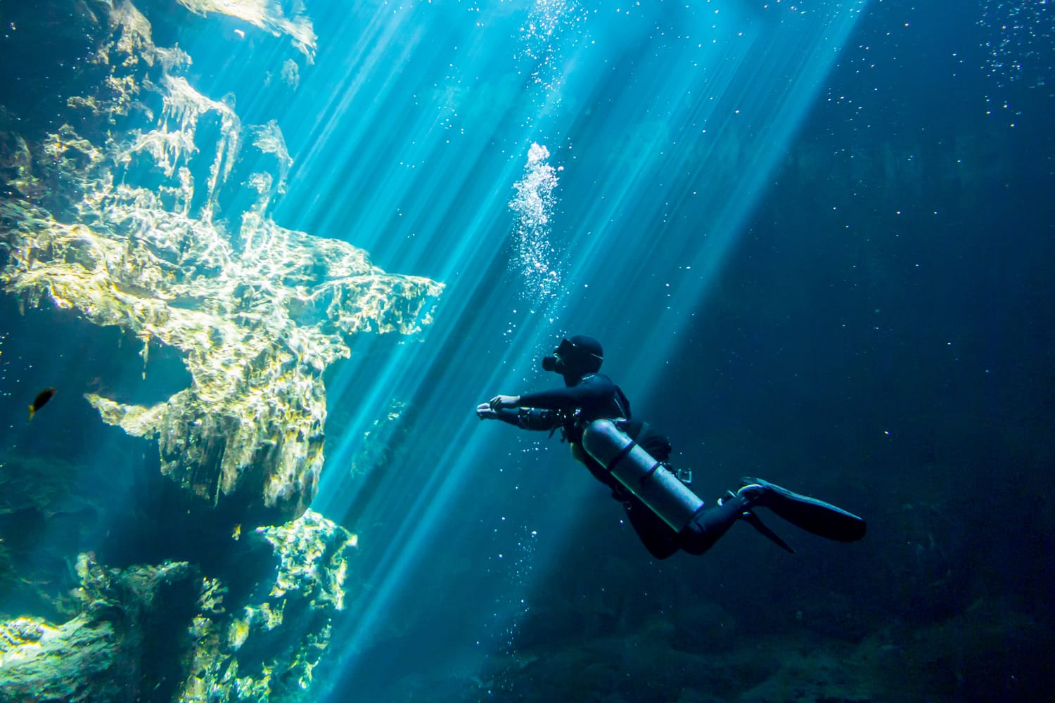 Underwater el Pit Cenote Yucatan Mexico