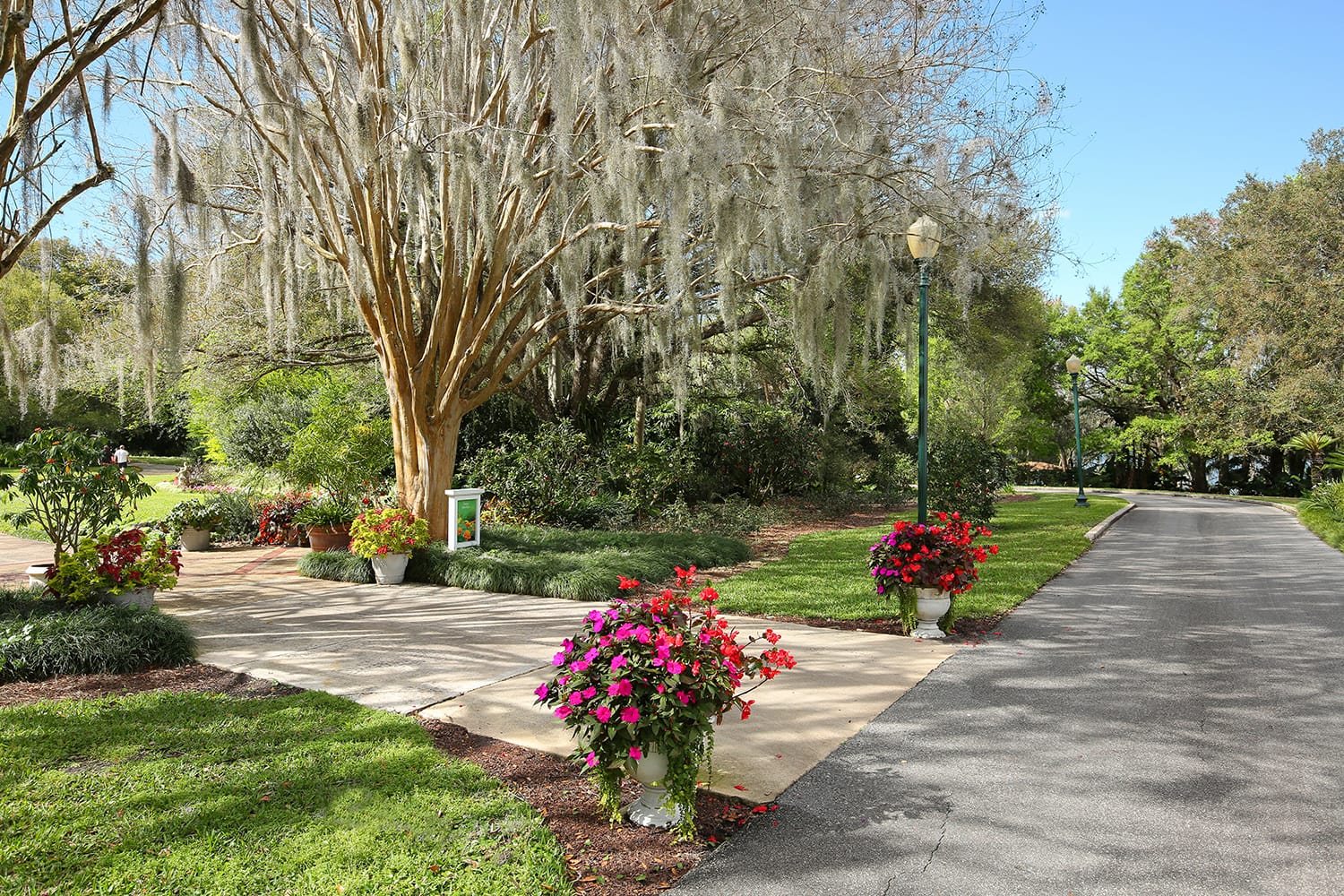 Harry P. Leu Gardens in Orlando, Florida, USA