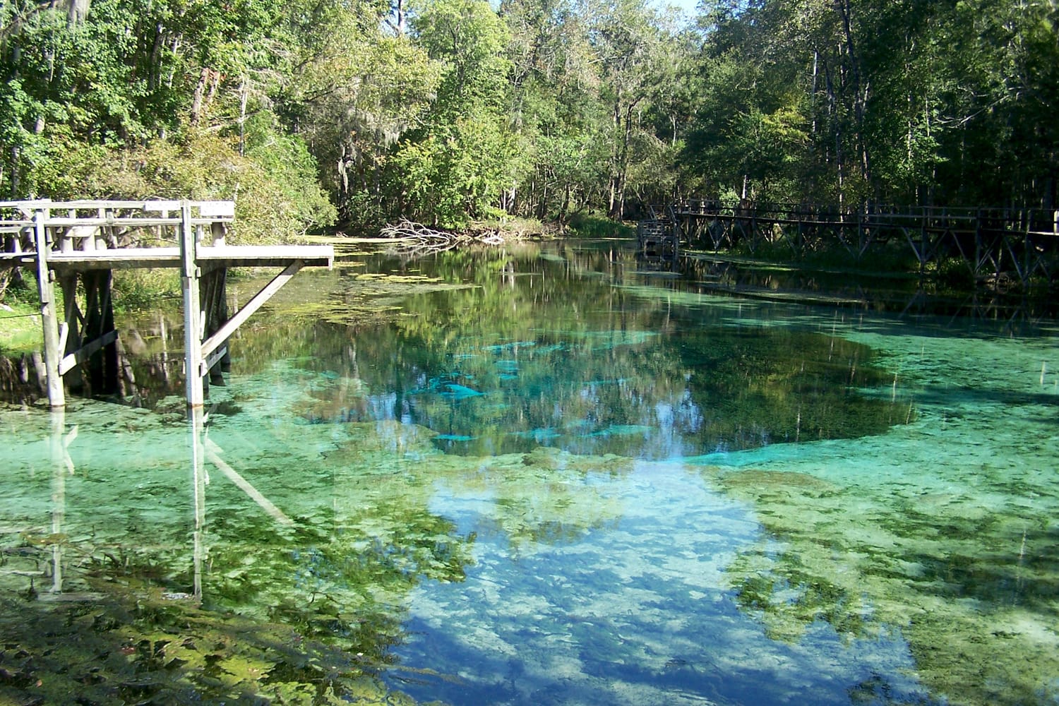 Gilchrist Blue Spring in Florida, USA