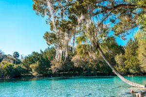 15 καλύτερα Springs στη Φλόριντα, ΗΠΑ