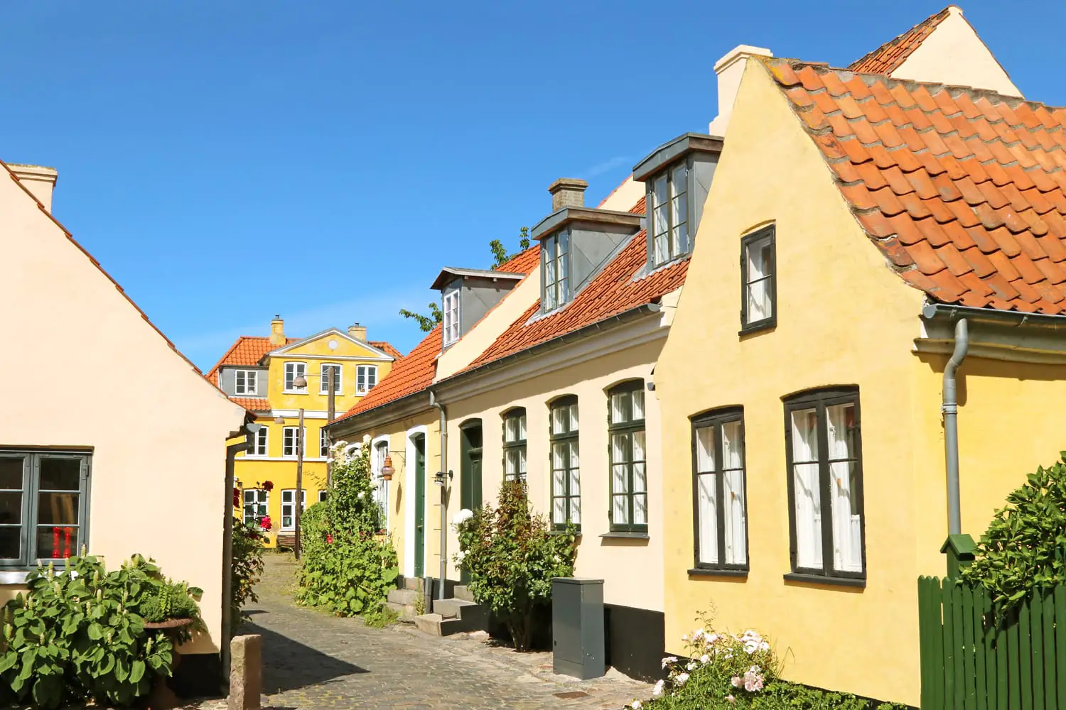 Cobbled street with yellow-painted houses in Dragor, Denmark