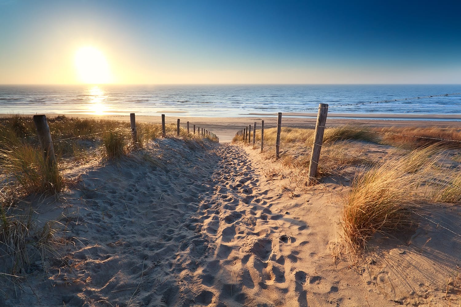 path to sand beach in North sea, Zandvoort aan zee, North Holland, Netherlands