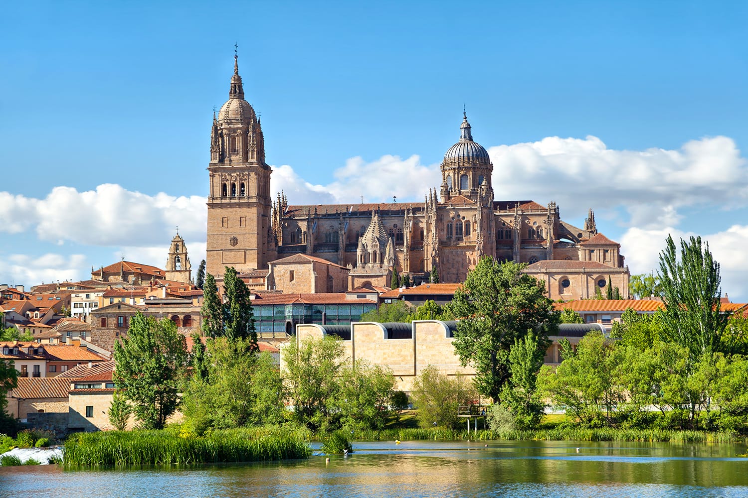 New Cathedral in Salamanca - view from river side, Castilla, Spain
