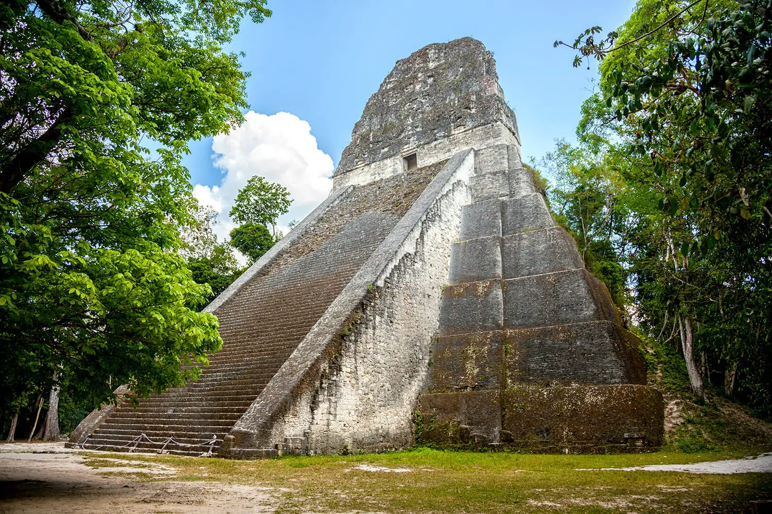 Temple V stands south of the Central Acropolis and is a mortuary pyramid. It has been dated AD 700, in the Late Classic period of the Mayas. is the second tallest structure in Tikal, Guatemala.