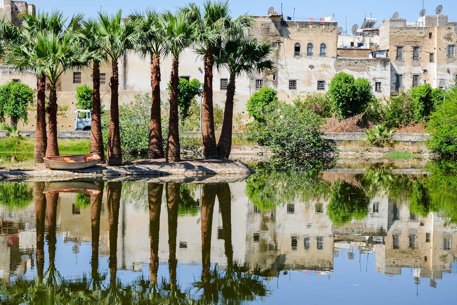 Jardin Jnan Sbil, Royal Park in Fes with its lake and towering palms, Fez, Morocco
