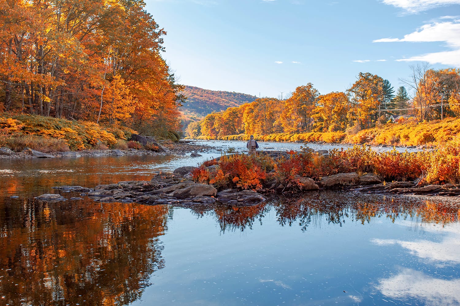 A fly fisherman on the Deerfield River in the Berkshires of Massachusetts during the fall foliage in October
