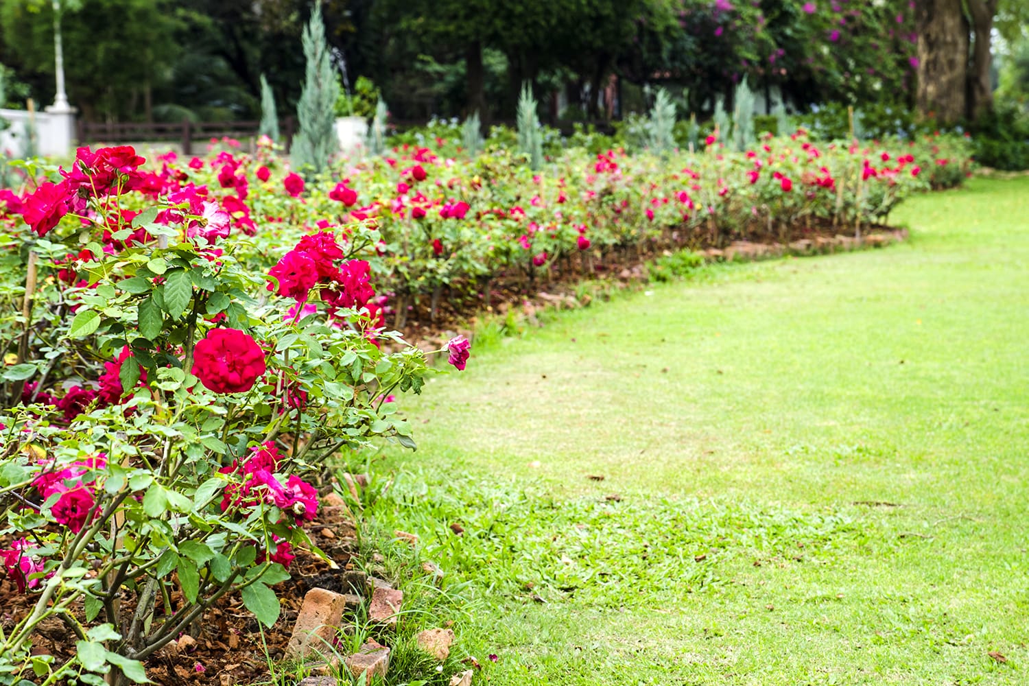 Rose Garden Thai Village in Thailand