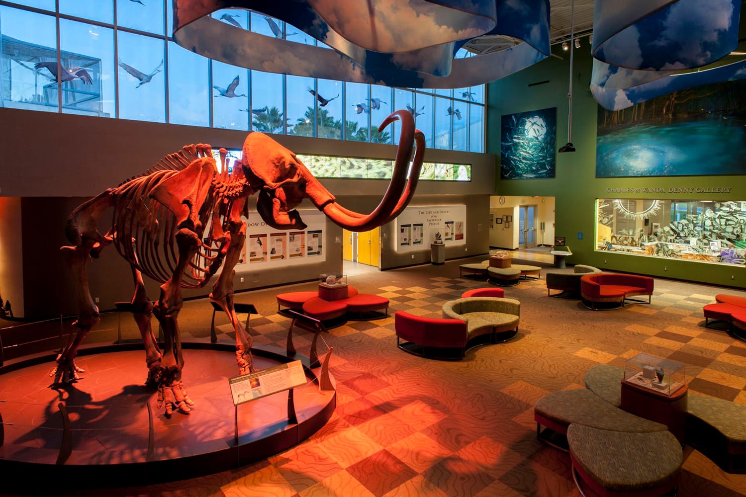 Florida Museum of Natural History in Gainesville, Florida, USA