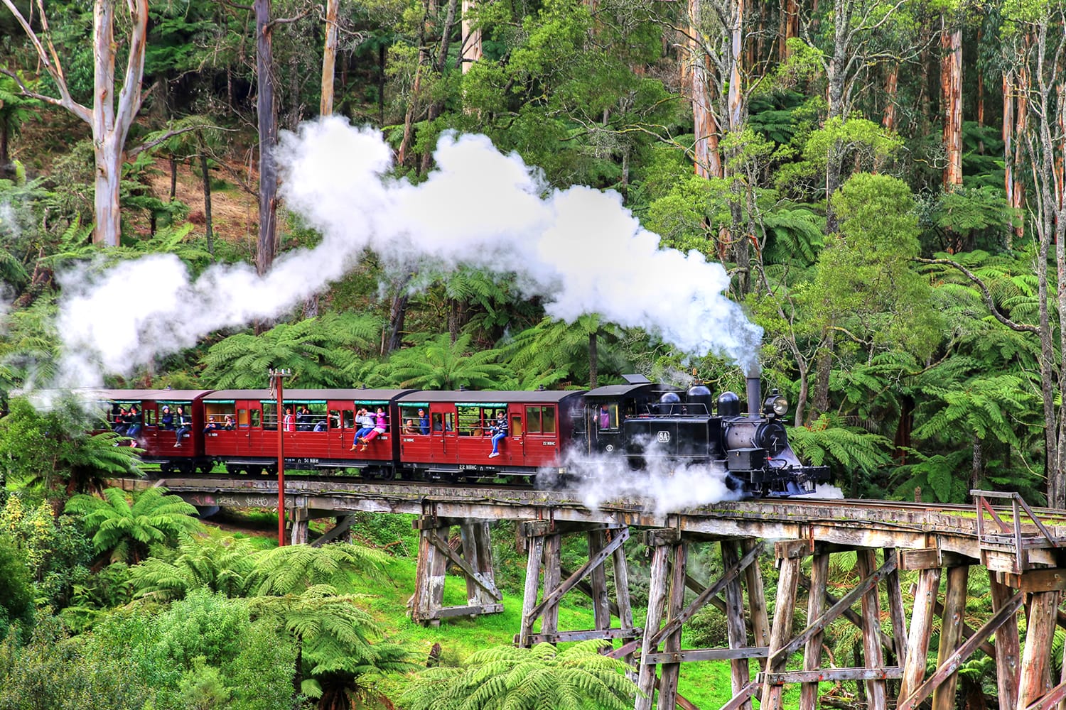 The Puffing Billy narrow gauge steam train crossing the Belgrave trestle bridge in The Dandenong Ranges, Australia