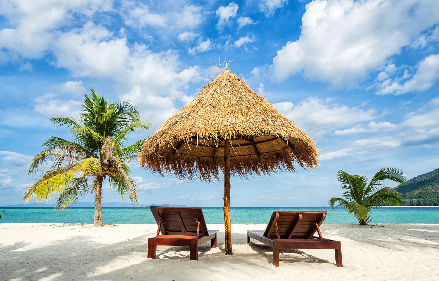 Vacation in tropical countries. Beach chairs, umbrella and palms on the beach in the Bahamas