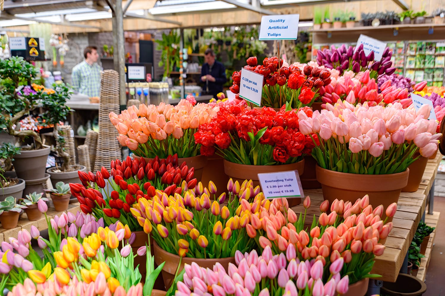 Bloemenmarkt, the floating flower market in Amsterdam, Netherlands 
