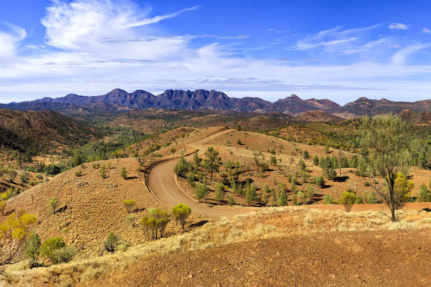 Wilpena Pound in Flinders Ranges national park of South Australia. Panoramic view from Razorback lookout on a geology trail.