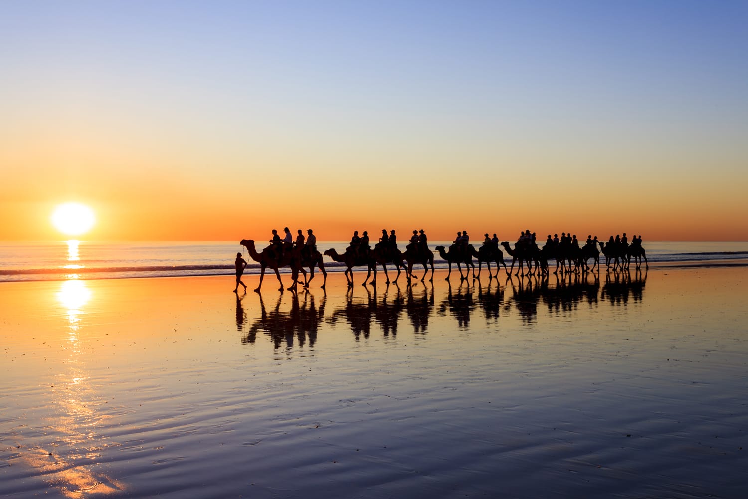 Camels on beach at sunset, Broome, Western Australia