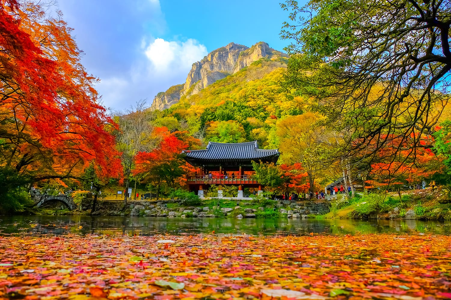 Colorful autumn at Baekyangsa temple in Naejangsan national park, South Korea.