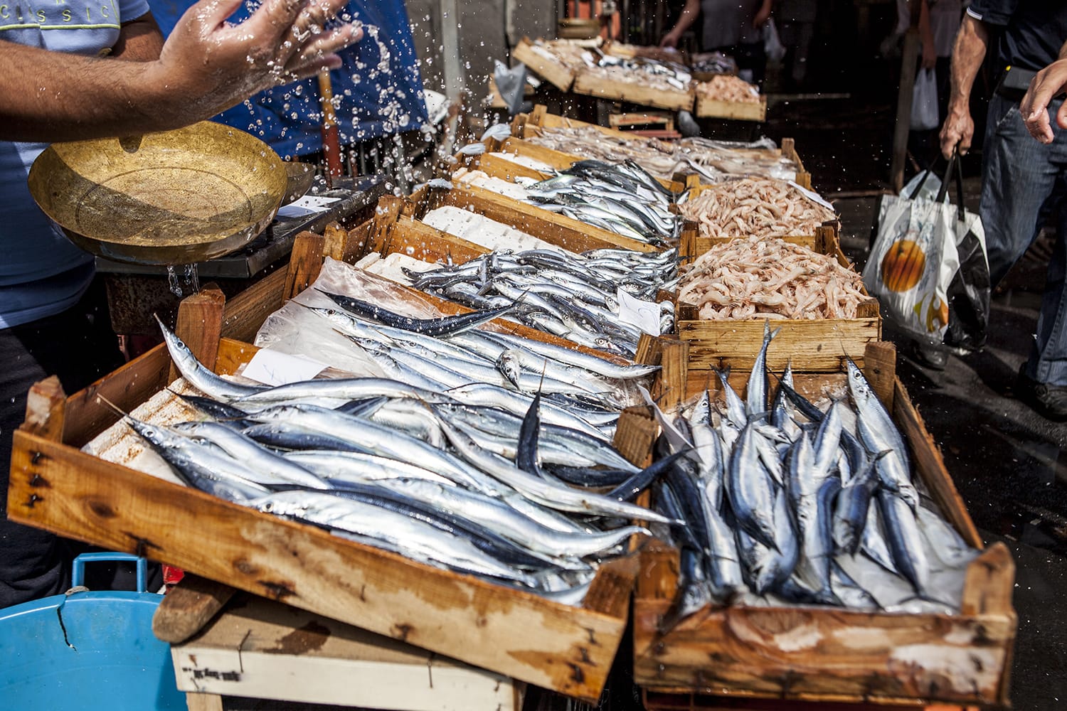 Fish market in Catania, Sicily, Italy