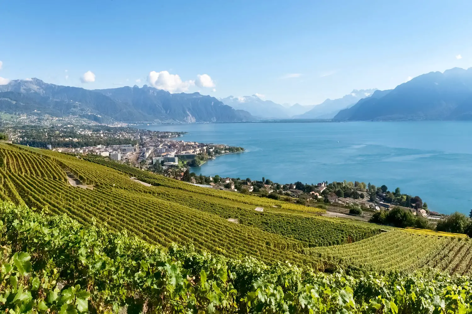 Lavaux, Switzerland: Landscape of Lavaux Vineyard Terrace hiking trail, Lake Geneva and Swiss mountains