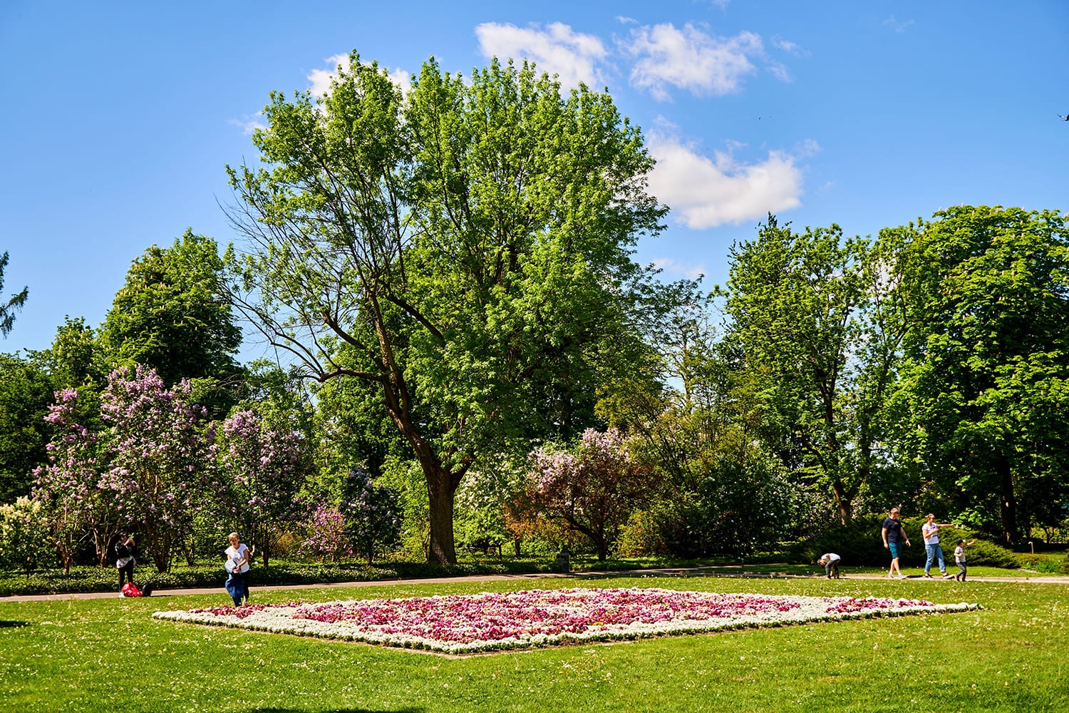 Βοτανικός κήπος AMU στο Πόζναν, Πολωνία