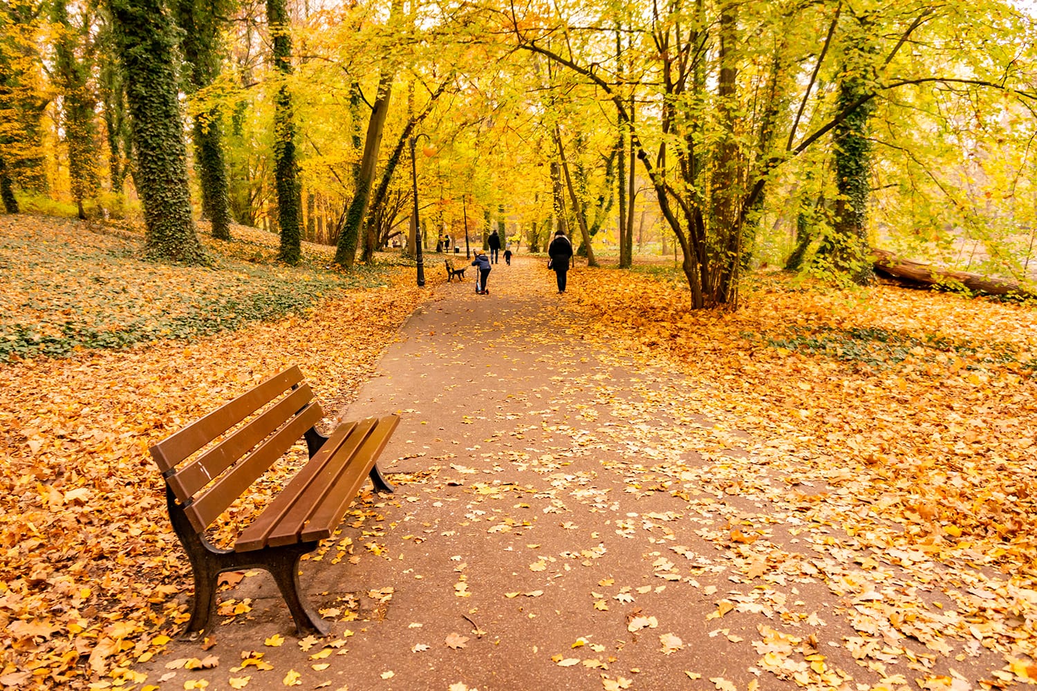 Footpath with walking people and a bench along trees in the Solacki park in the autumn seaso