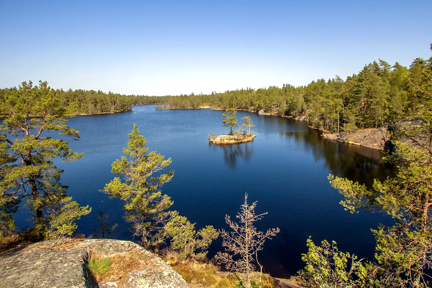 Εθνικό πάρκο Tyresta κοντά στην πόλη της Στοκχόλμης, Σουηδία