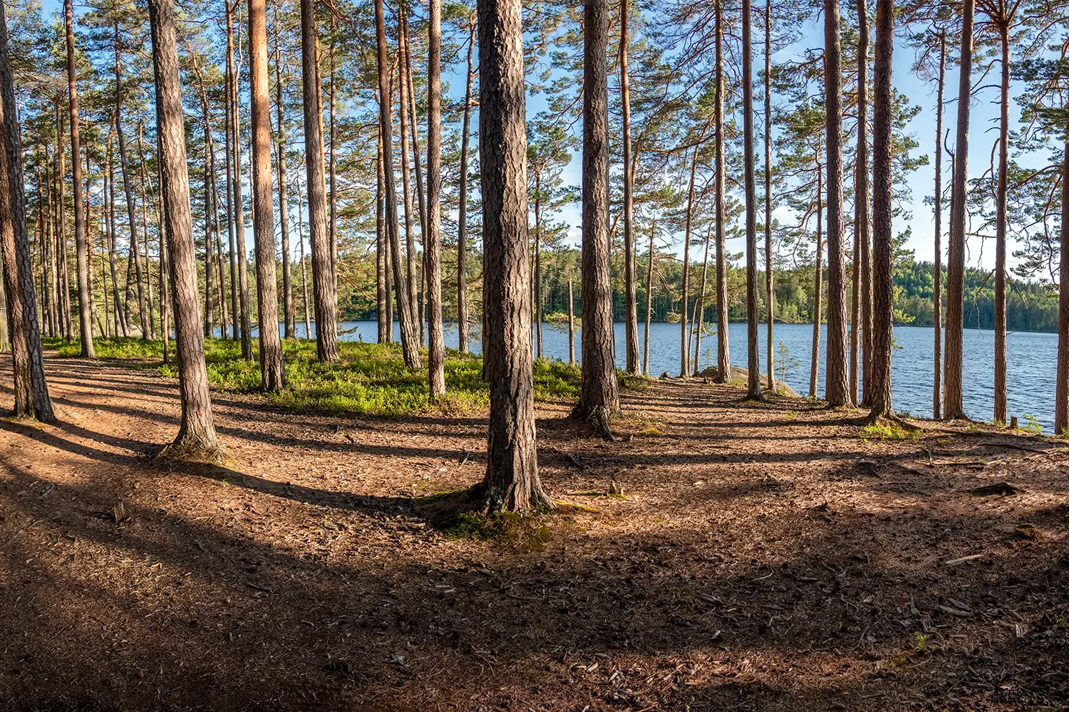Εθνικό πάρκο Tiveden στη Σουηδία