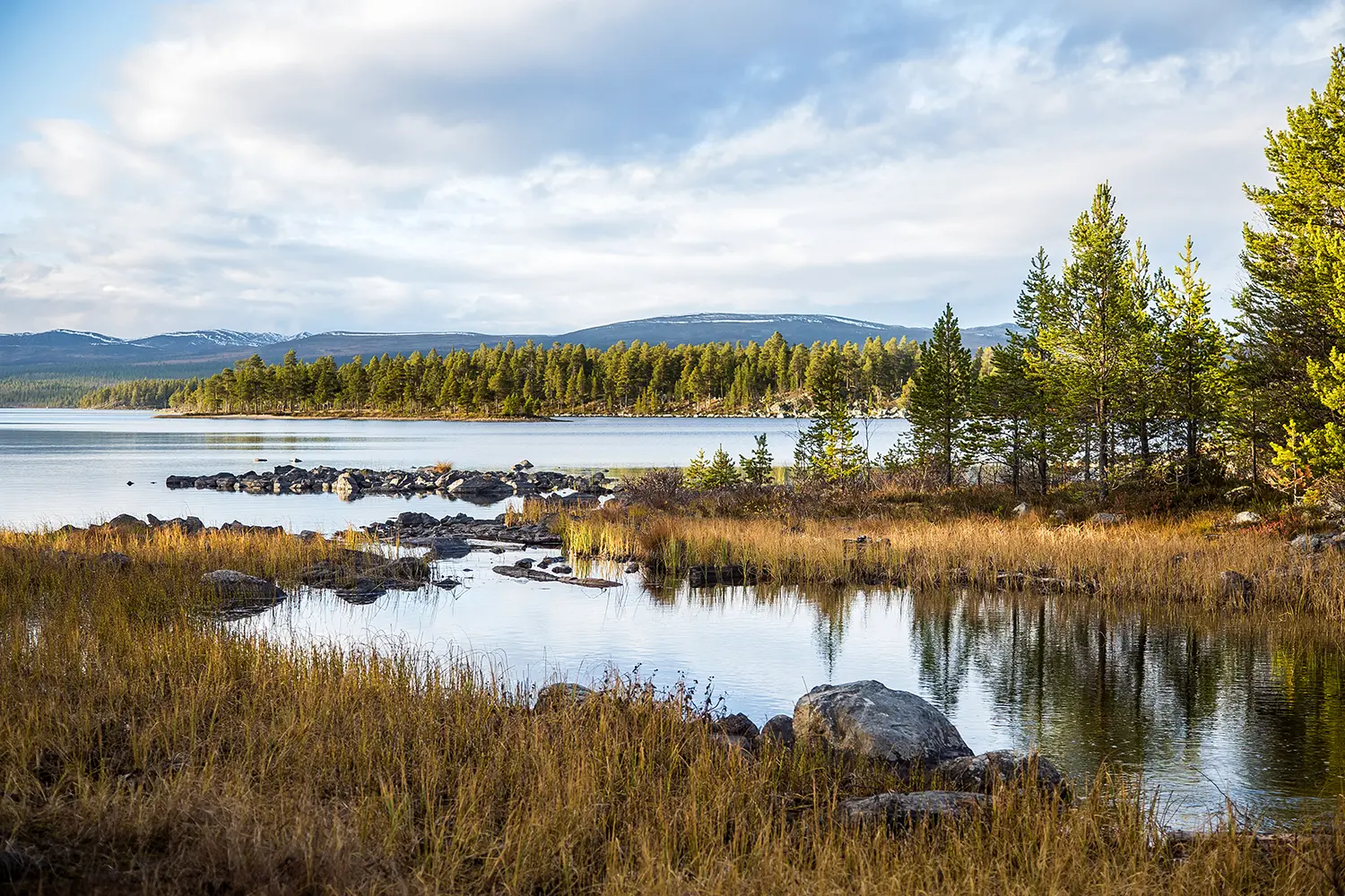 Ένα όμορφο τοπίο λίμνης στο εθνικό πάρκο Femundsmarka στη Νορβηγία.