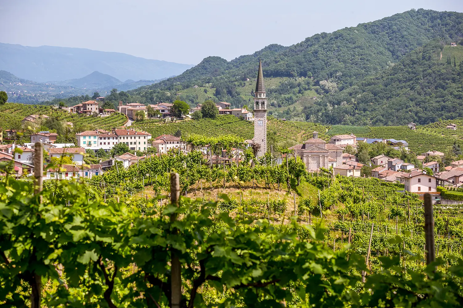 Γραφικοί λόφοι με αμπελώνες της περιοχής αφρώδους κρασιού Prosecco στο Valdobbiadene της Ιταλίας.