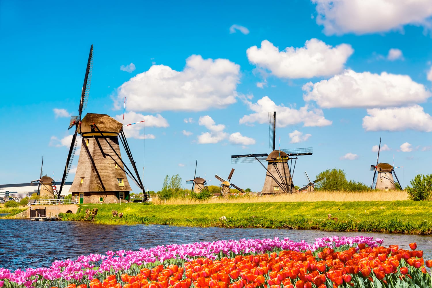 Ανεμόμυλοι και χωράφια τουλιπών στο Kinderdijk, Κάτω Χώρες
